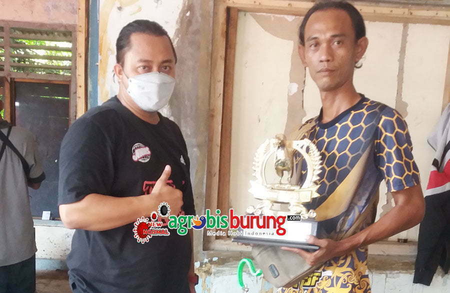 MB Bongkar Milik Iwan Dongkal SF, Mandi 2 Hari Sekali Dan Mau Lomba Dikasih 5 Ulat Hongkong 1(Iwan Dongkal SF) (1)