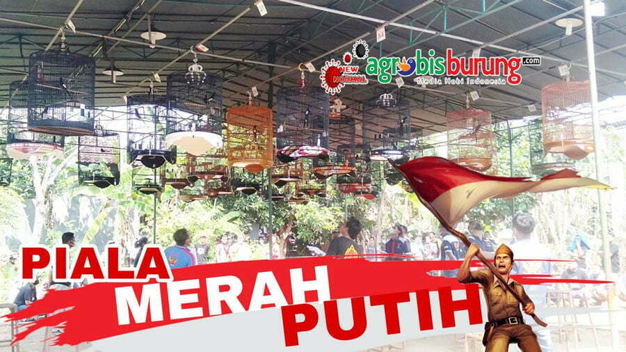 1102335f-806a-4c04-b2da-342e2fb58b83