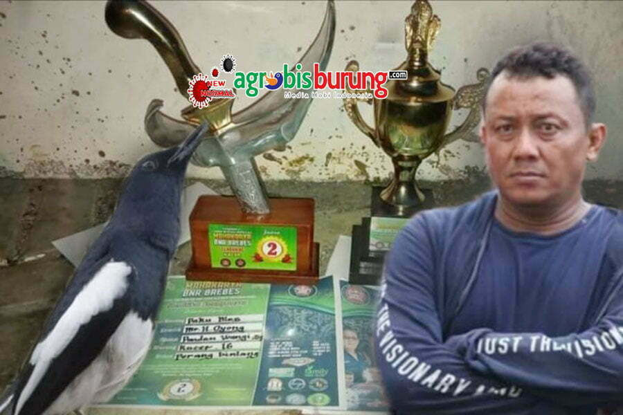 4587a2aa-138a-4a0e-85cf-66ed7ae7eeb3