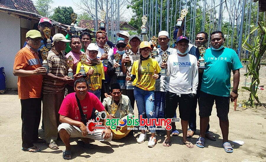 5b0e34c8-dea0-4557-9900-38ff487e38e6