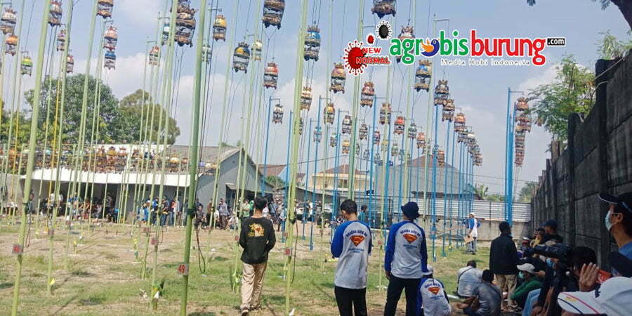 735d5fcc-a308-4a1c-bc1f-8ff9df9b7cf6