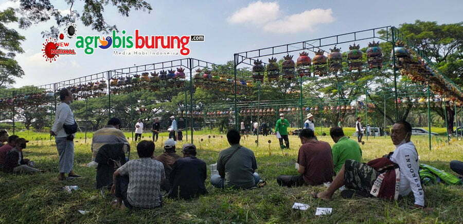 95a5da4e-cfc5-4680-9139-86e90f53192b