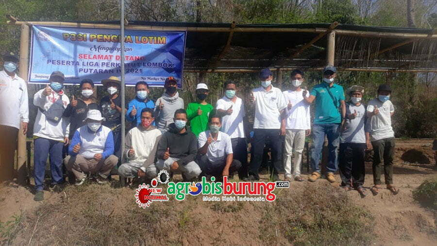 9ce82169-61ba-44f5-aa1d-199cb2096cc0