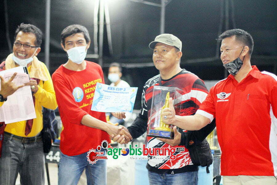 K-Conk Raih Tropi Burung Terbaik Untuk Murai Batu Mbah Subur