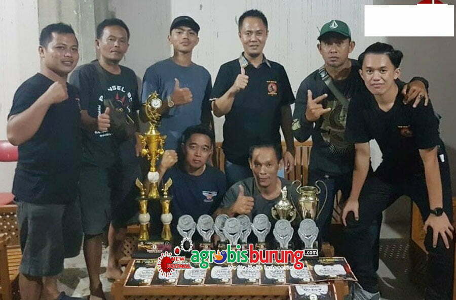 Koleksi MB H. Yadi Ekajaya Sumedang Berjaya Di Tiga Even Dan Kota Yang Berbeda 1(H