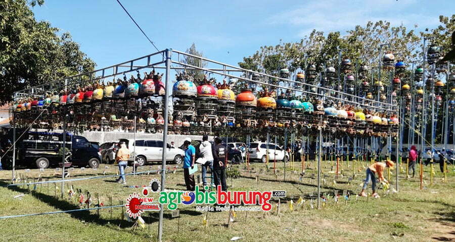 1f0d9d75-cdcf-428b-aad2-7653ffd5207f