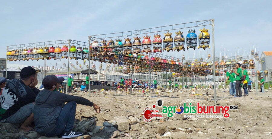 98edbce2-7c41-4974-9178-ebe7f04bddc9