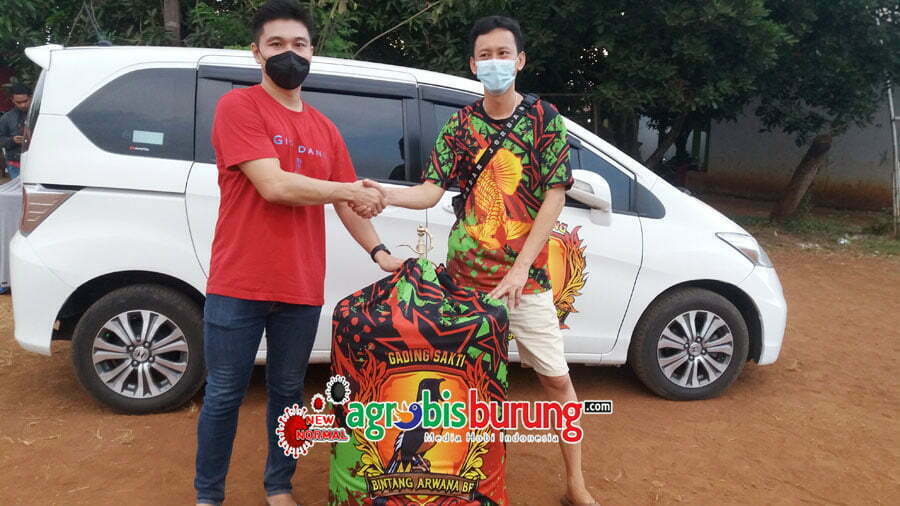 MB Gading Sakti Terbang Ke Lombok Usai Dipinang Mr Oqi The Rock Dengan Harga Cukup Fantastic Dari Triyanto BA BF 1(Triyanto BA BF Dan Mr