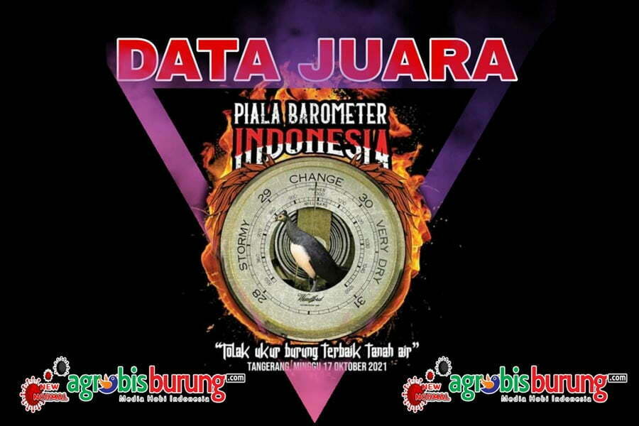 WhatsApp Image 2021-10-18 at 17.44