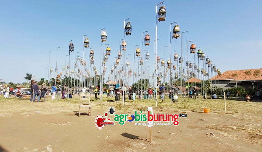 a3a20ddd-339f-44c3-b1fd-ea2bd07b6423