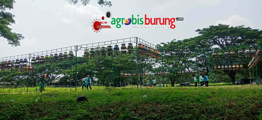 a8369570-a1b2-4c43-8b94-e4adce62f454