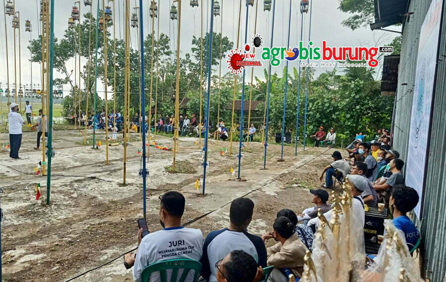 aa7e4b58-a465-4398-98d3-ca074a7f29b7