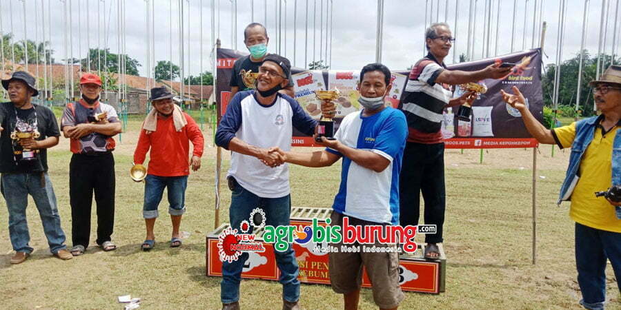 dc3c2d1b-0453-4d76-b55d-0b6d5ce16724