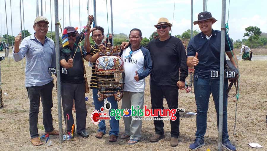 02b72b03-78d3-4981-b2ae-babba369273a