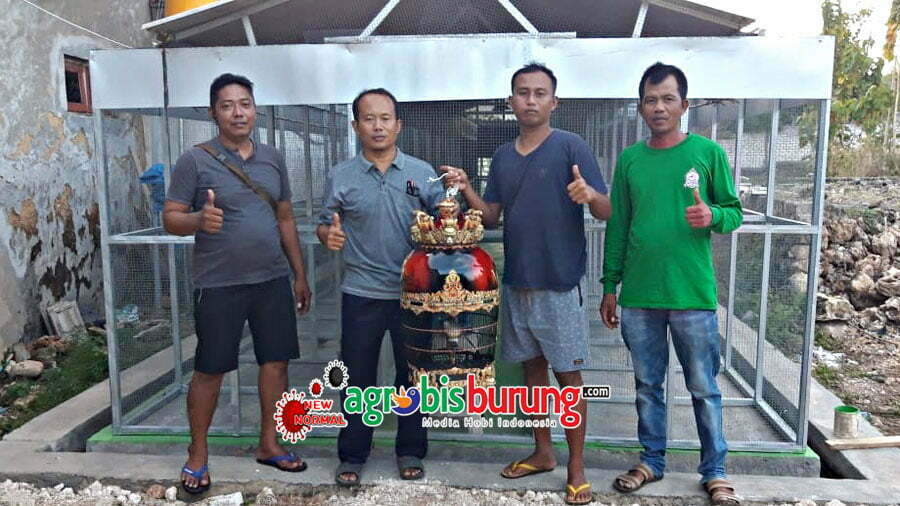 0987af9c-d8d4-49e8-8cd4-72d20bcc1a9a