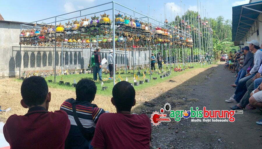 0fecdae4-94ea-4041-97ee-623dfae0f7a9