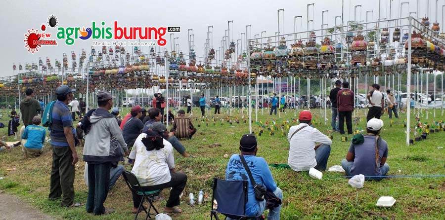 90a31bff-5ecb-4e08-bc48-260dc5c0316f