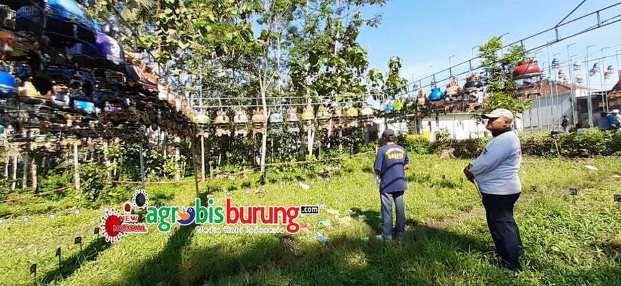 99117b84-fea5-47a0-a316-9906cb82e093