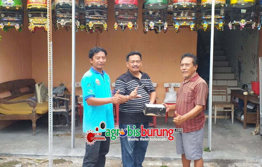 02c8dc38-8f52-40fb-9d43-4880c7856003