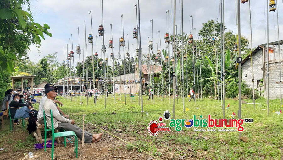 264037211_5396270050400959_7096375872911385278_n