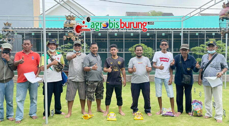 3c82684d-a6bb-4e16-ae48-f9ac8ff02113