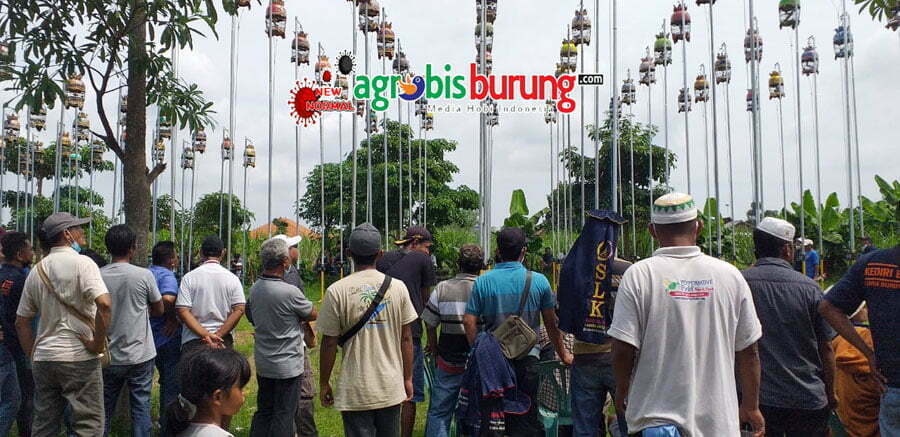 5b5a4650-16bd-46df-90ad-5cc3d8b18002