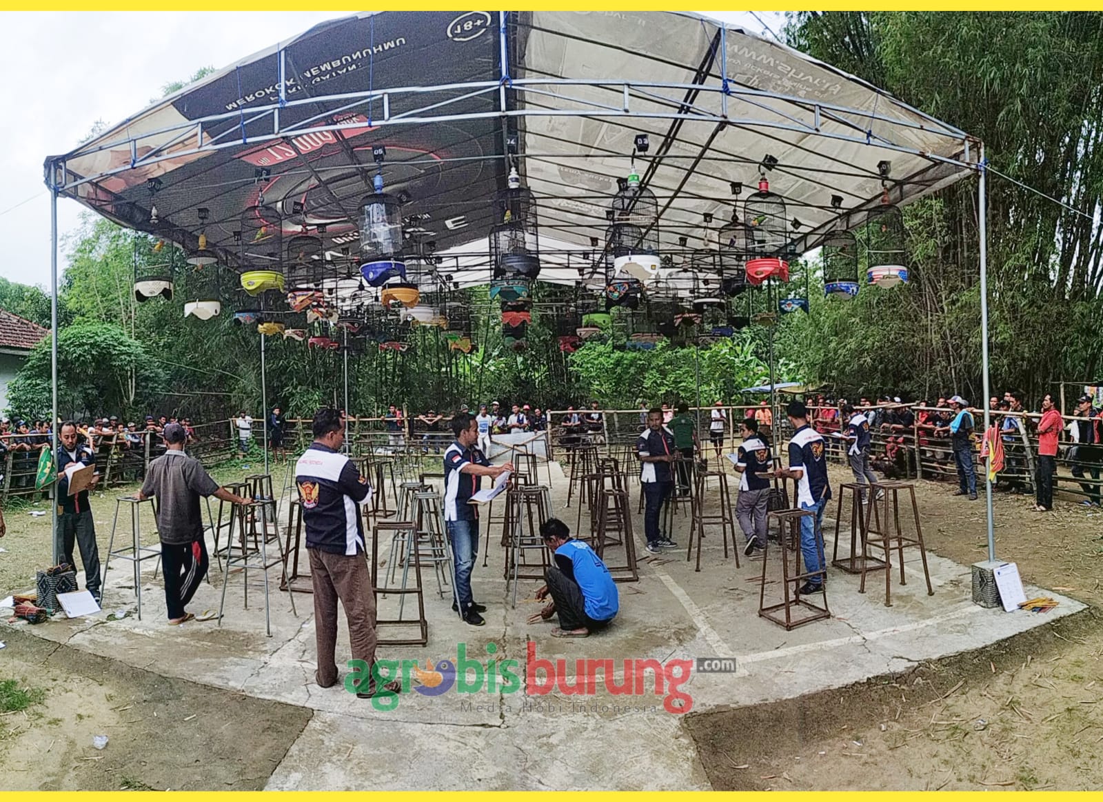 84d826c6-86b1-40ee-a5e0-7b3c2a65f8b1