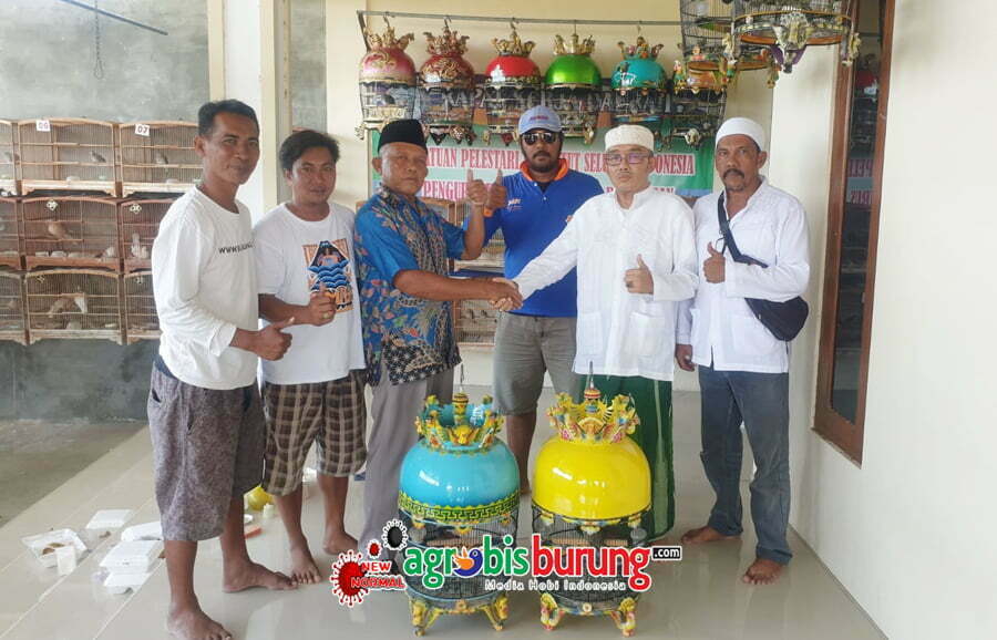 9c0a7d7d-6eb9-4510-ada3-ff3c93e90a8d