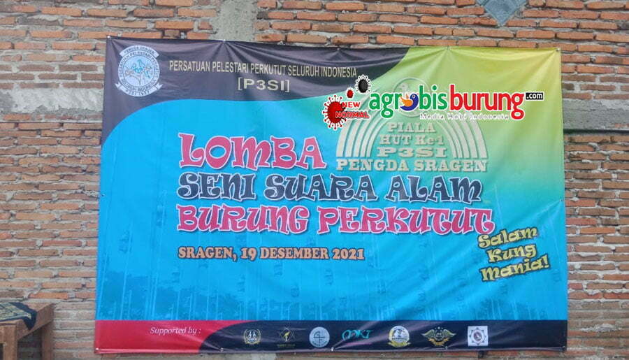 c8673cb6-f4a9-4766-9620-42a6df598317