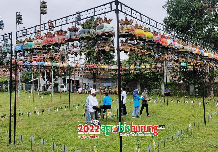 691db2b1-2518-4c75-84c3-bfe02952335d