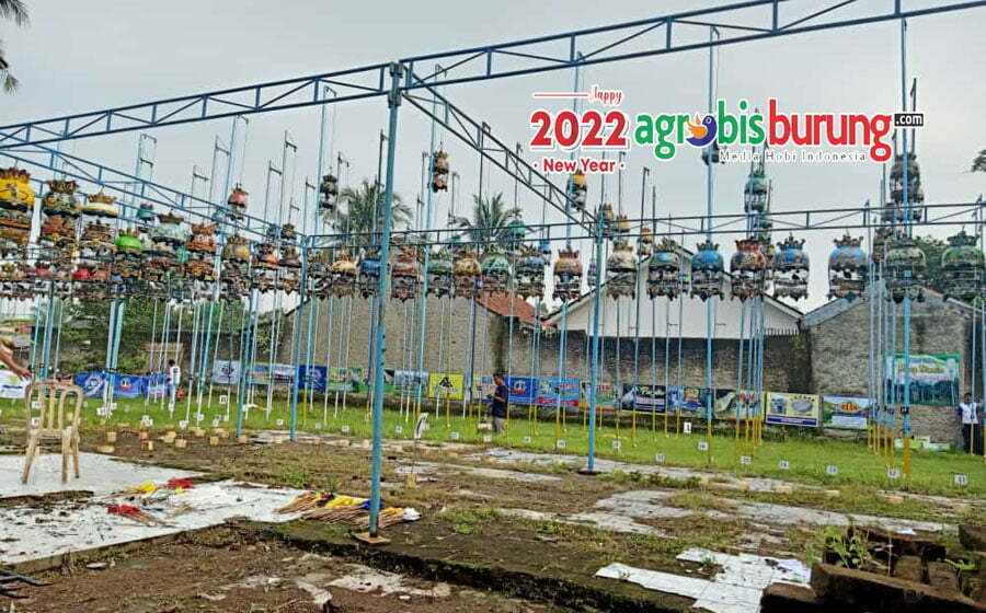 7ddc7c25-dd2b-4577-a0a3-f1b13d8f61df