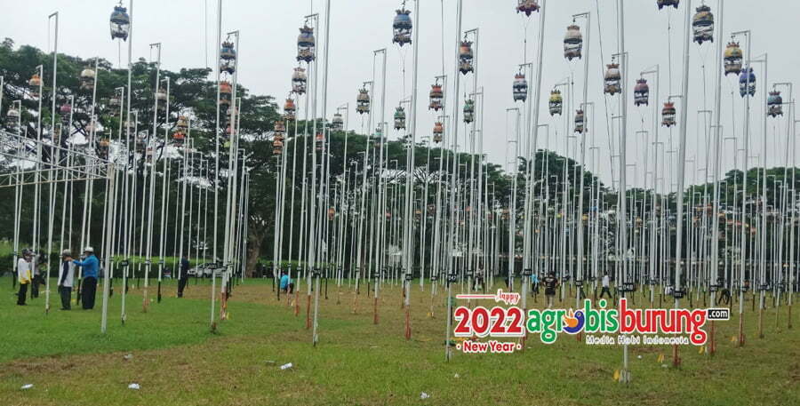 ddb28e86-67d8-4db2-84f3-ece0f10e16f1