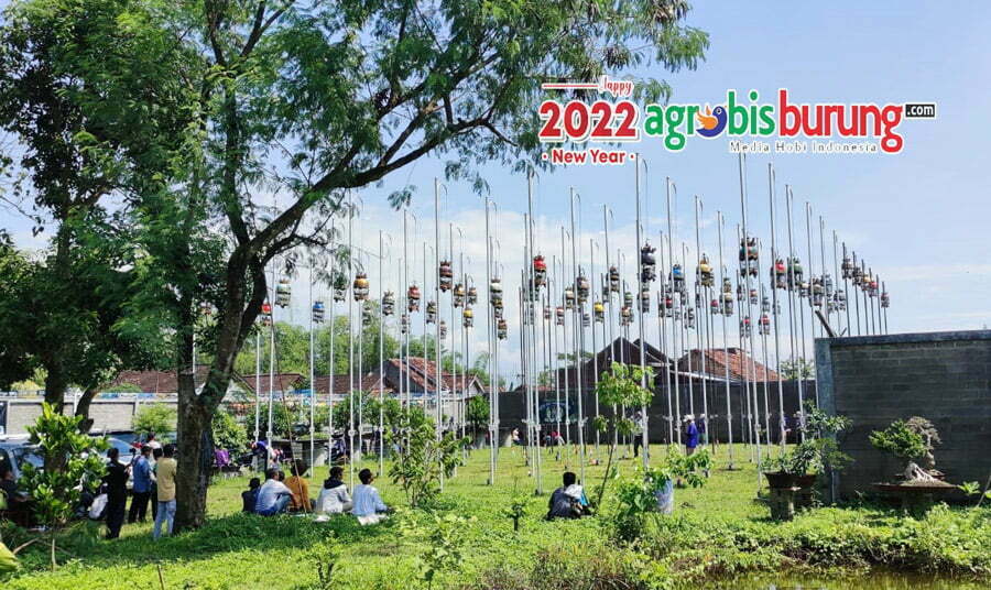 1816d3c3-7f8c-45e2-bc68-747c015bd12e