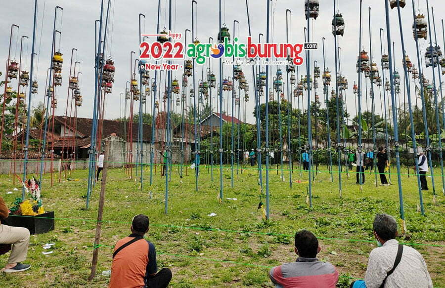 5ed6856d-92a1-4dd4-9354-2b849a94f1b0