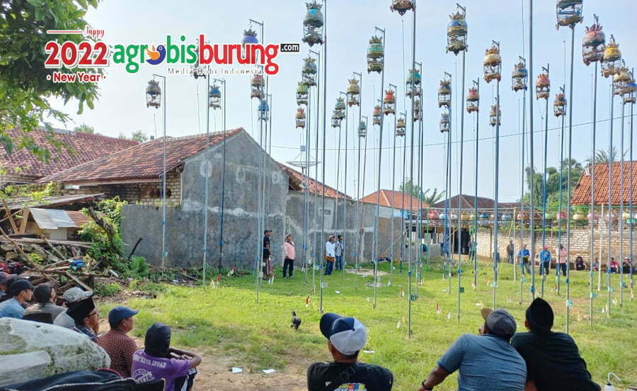 79a74b9d-3426-48a9-b1a5-08afc9a495f2 (1)