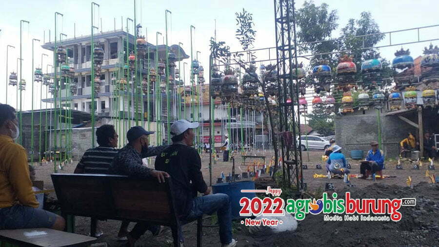 5a53eb50-79fc-4ccf-850e-7cca12ba96e6