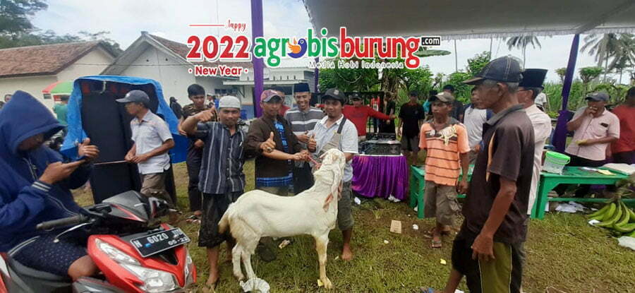 77b89f49-5e25-4e62-9941-0b9683a3ae44