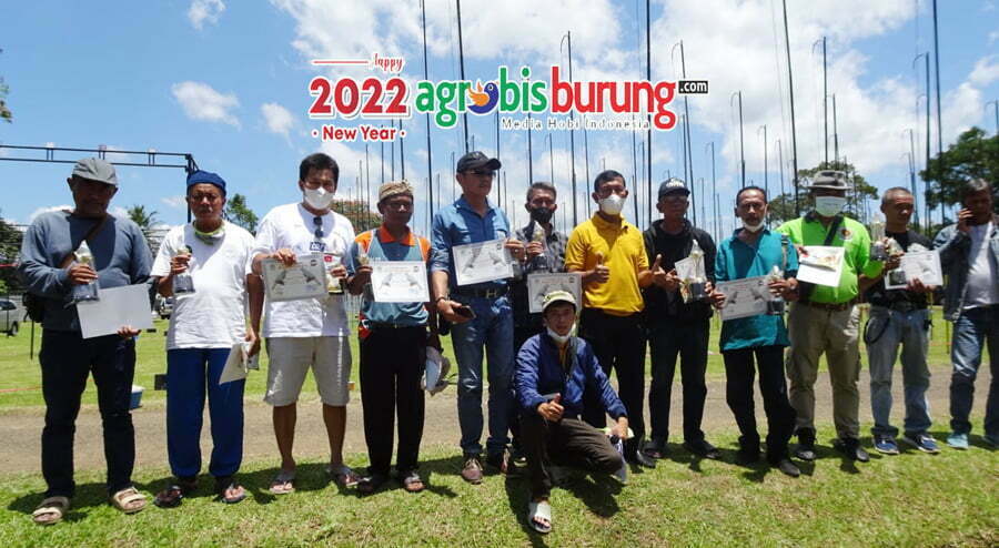 Juara dewasa bebas Baringga