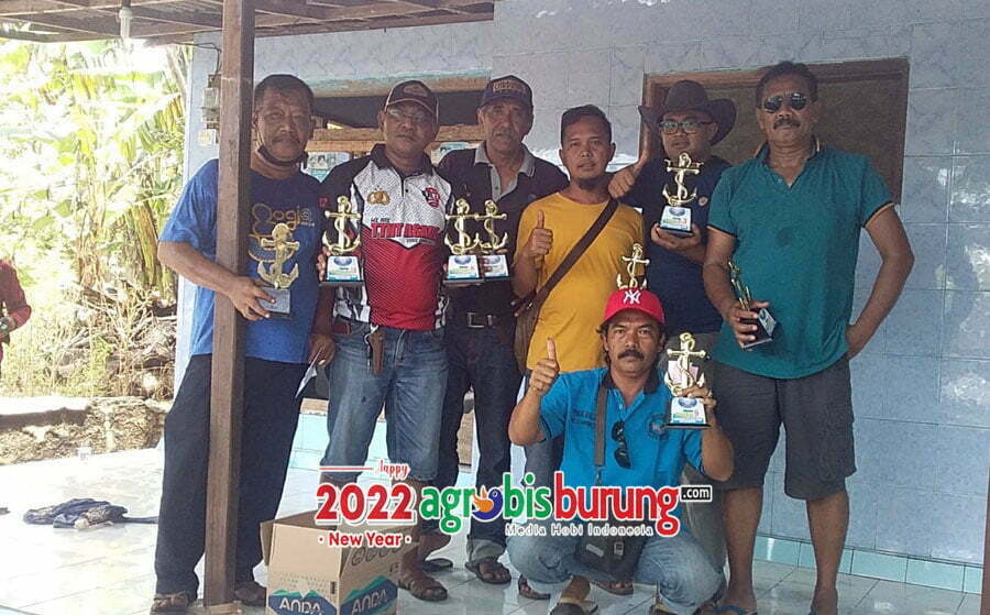 PIYIK YUNIOR STB
