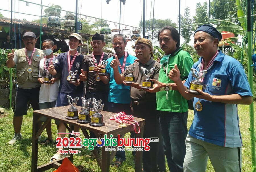 Juara kelas piyik yunior.