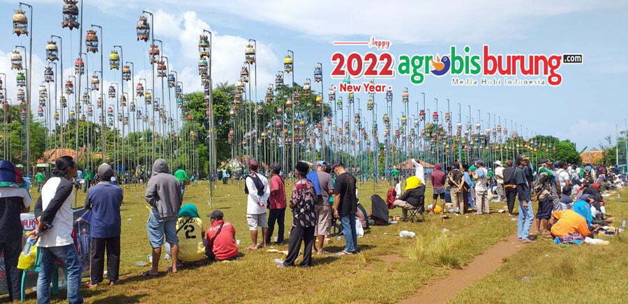 0271aa85-c77d-418a-b619-94e1abf19a81