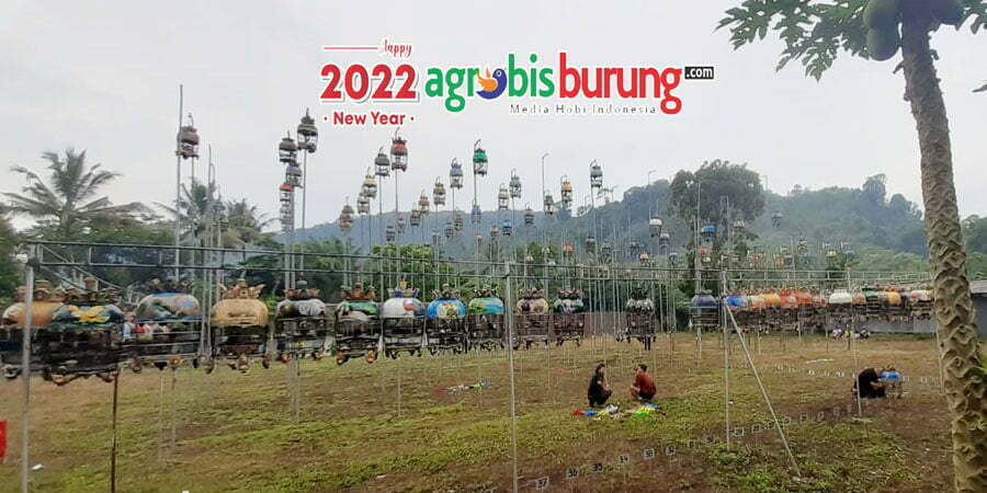 236161dc-c468-4b72-a345-3c537d9b42a0