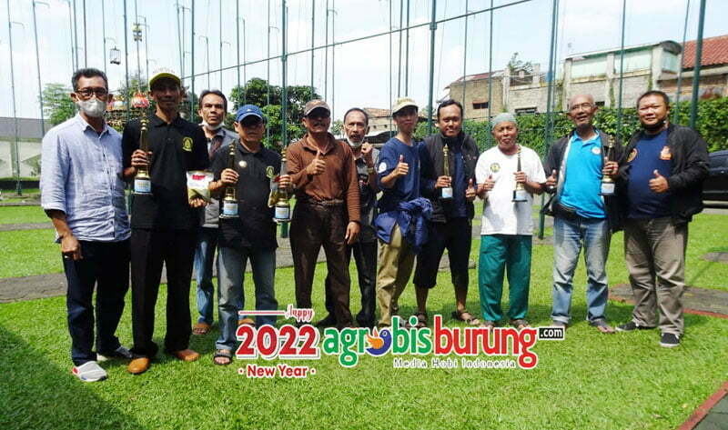 Juara dewasa bebas bdg