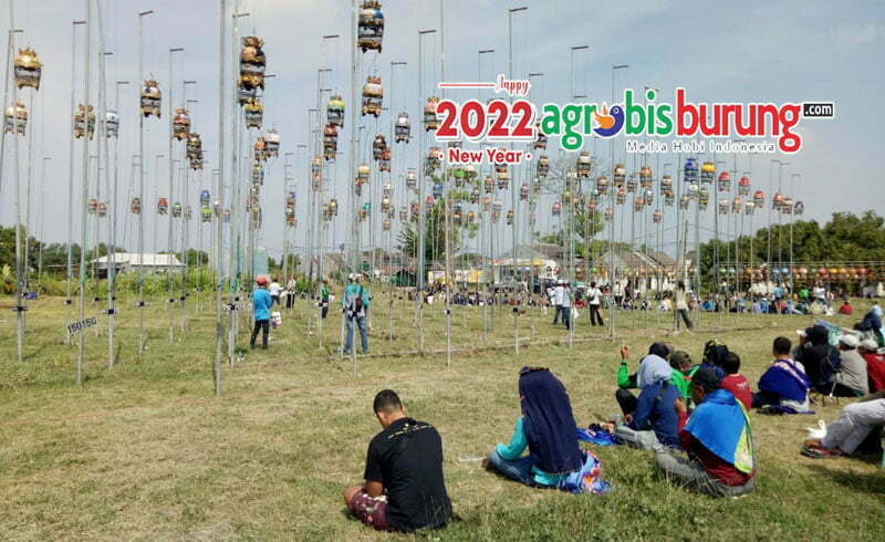 24640ebb-84e5-4a9d-93ff-00296c3ffffa