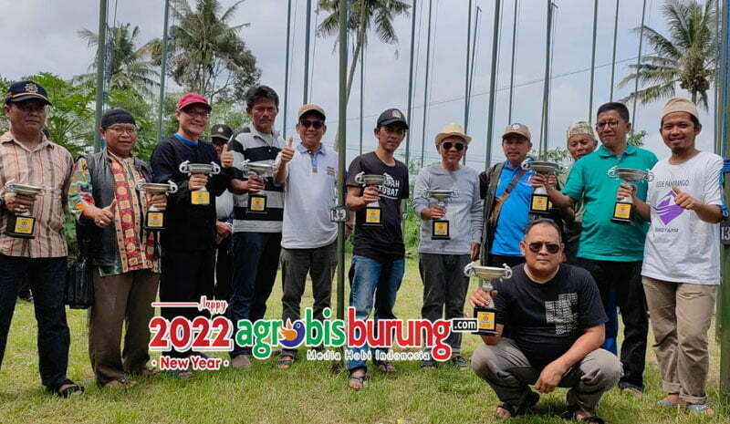 Juara dewasa bebas.
