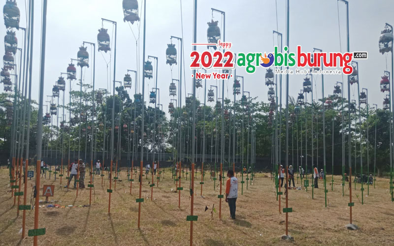 47193ad8-261c-42e2-8811-a416e2d0ea8