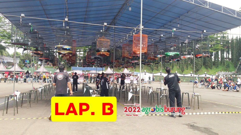 LAP B