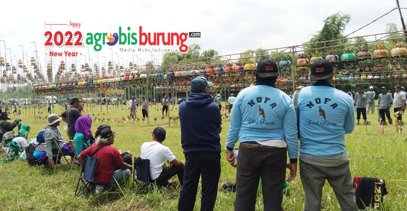 IMG_20221112_102616 copy