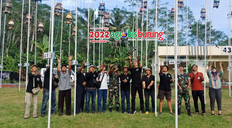 d4bf42ed-3d88-4103-8f0e-e193cadc2811