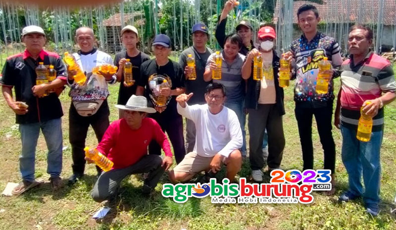 0343ff45-37bc-43d8-9d82-743c443035f2